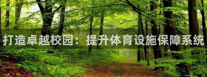 凯捷体育是干嘛的公司：打造卓越校园：提升体育设施保障