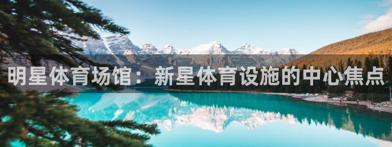 凯捷体育神州：明星体育场馆：新星体育设施的中心焦点