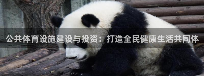 凯捷体育招商电话地址是多少：公共体育设施建设与投资：