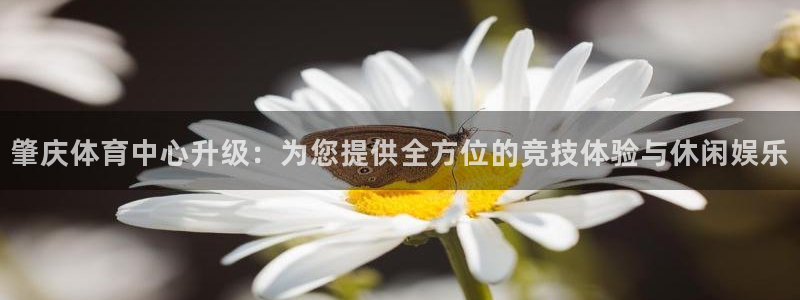 凯捷体育开户：肇庆体育中心升级：为您提供全方位的竞技