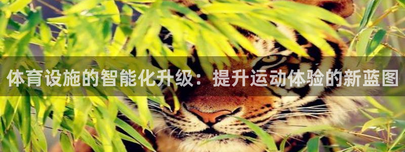 凯捷体育娱乐平台：体育设施的智能化升级：提升运动体验
