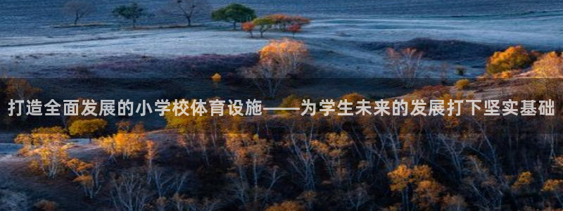 凯捷体育代理：打造全面发展的小学校体育设施——为学生