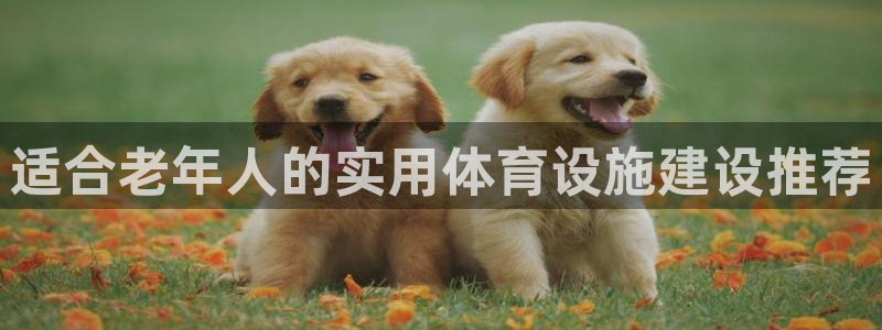 海南凯捷体育：适合老年人的实用体育设施建设推荐