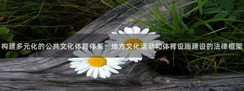 凯捷体育软件：构建多元化的公共文化体育体系：地方文化