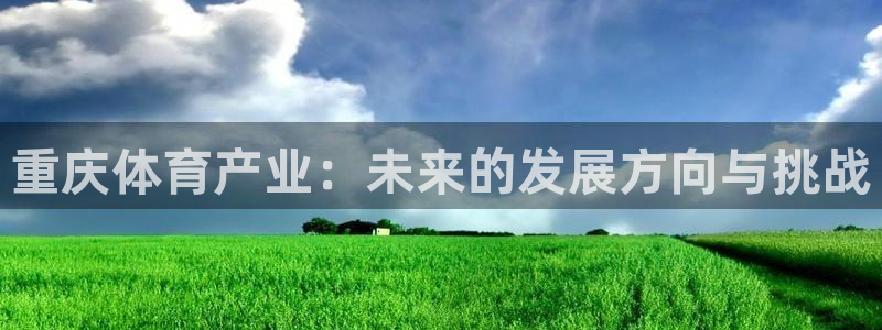 凯捷体育招商电话地址是多少：重庆体育产业：未来的发展