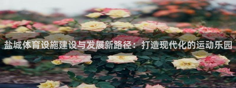 凯捷体育招商电话号码查询是多少：盐城体育设施建设与发