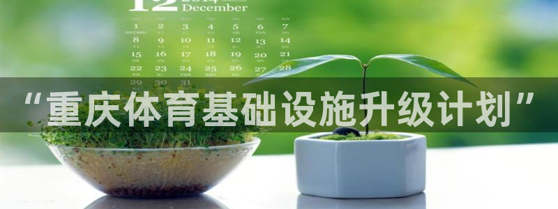 凯捷体育招商电话号码查询：“重庆体育基础设施升级计划