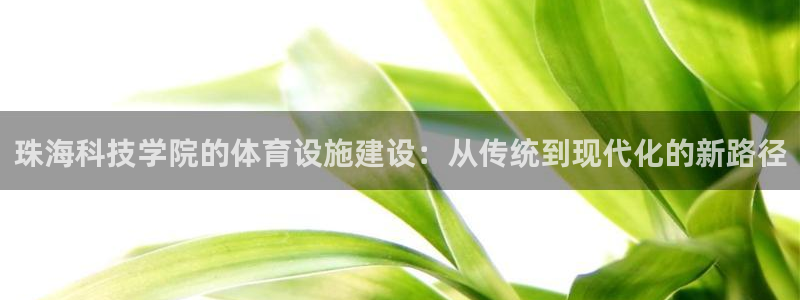 凯捷体育平台注册：珠海科技学院的体育设施建设：从传统