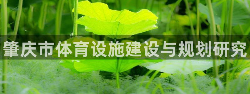 凯捷体育注册：肇庆市体育设施建设与规划研究