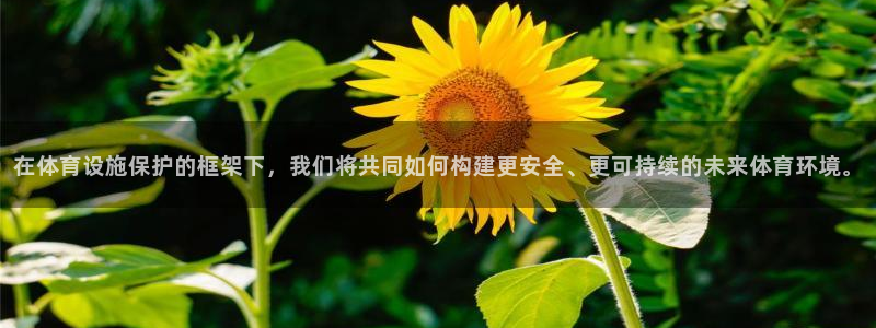 凯捷体育招商电话号码是多少：在体育设施保护的框架下，