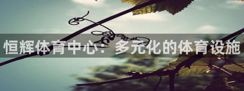 注册凯捷体育：恒辉体育中心：多元化的体育设施