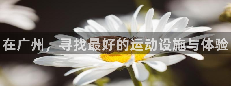 凯捷体育招商电话号码是多少啊：在广州，寻找最好的运动