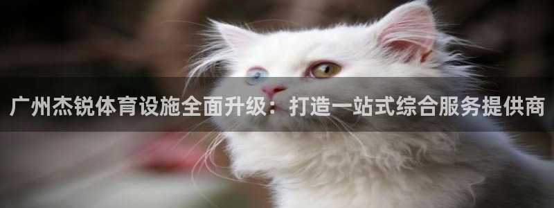 凯捷体育五金厂：广州杰锐体育设施全面升级：打造一站式