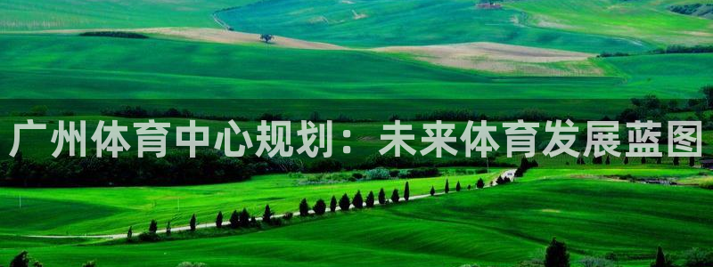 凯捷体育平台注册流程图：广州体育中心规划：未来体育发