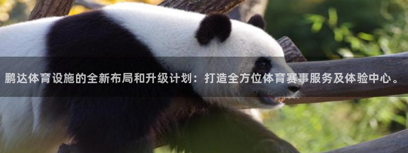 注册凯捷体育：鹏达体育设施的全新布局和升级计划：打造