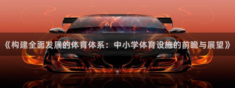 凯捷体育注册：《构建全面发展的体育体系：中小学体育设