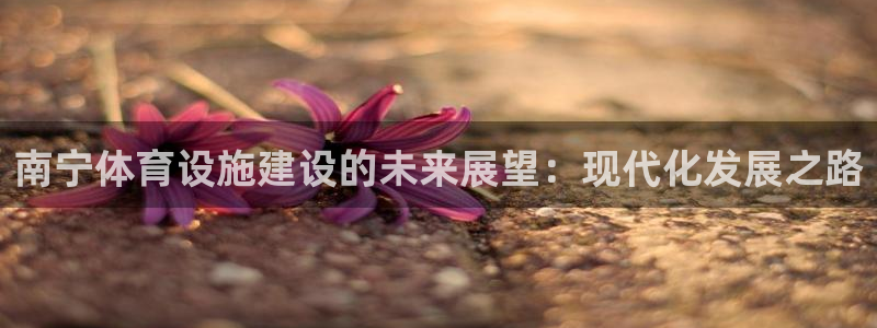 凯捷体育平台是正规平台吗：南宁体育设施建设的未来展望：现代化