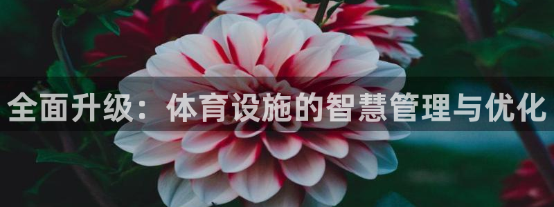 凯捷集团官网：全面升级：体育设施的智慧管理与优化