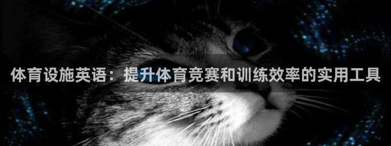凯捷体育平台：体育设施英语：提升体育竞赛和训练效率的实用工具