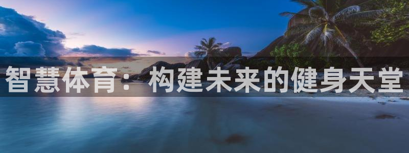 凯捷体育官网：智慧体育：构建未来的健身天堂