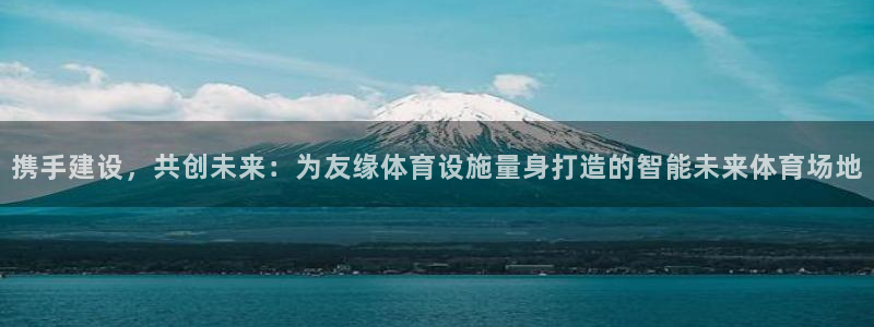 凯捷体育官网：携手建设，共创未来：为友缘体育设施量身打造的智 