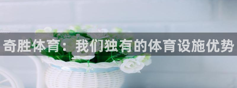 凯捷体育招商电话是多少：奇胜体育：我们独有的体育设施