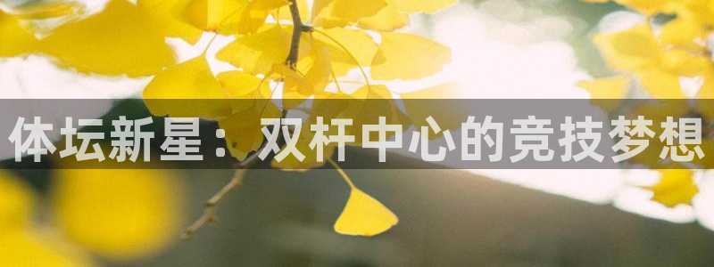 凯捷体育开户