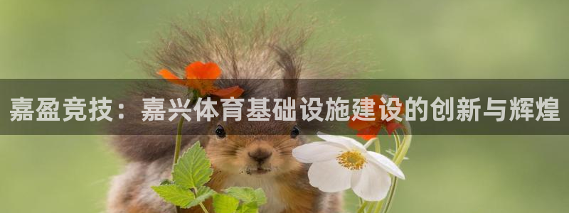 凯捷体育平台