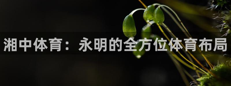 凯捷体育新能源：湘中体育：永明的全方位体育布局