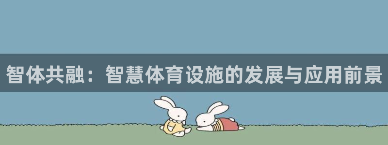 凯捷体育五金厂：智体共融：智慧体育设施的发展与应用前