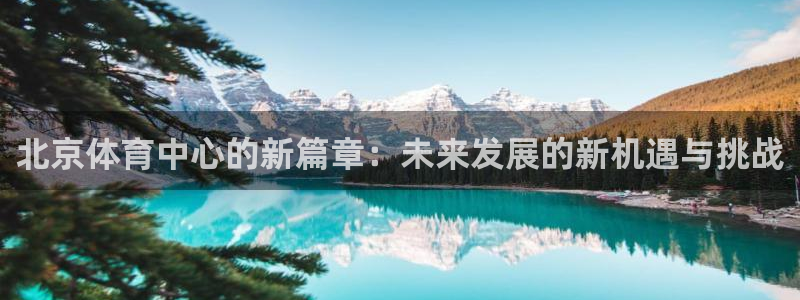 凯捷体育平台注册流程视频：北京体育中心的新篇章：未来