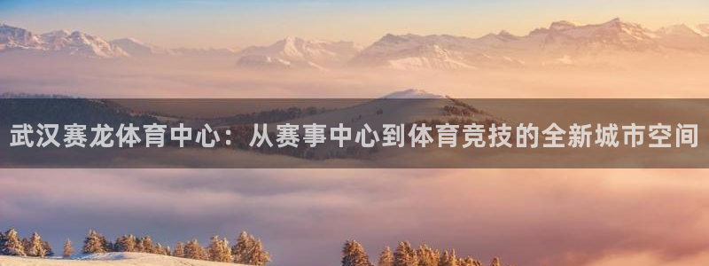 凯捷体育娱乐首页网站大全：武汉赛龙体育中心：从赛事中心到体育
