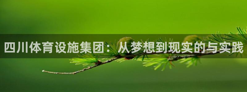 凯捷体育平台注册流程视频：四川体育设施集团：从梦想到现实的与