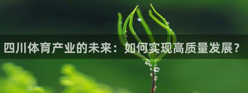 凯捷集团官网：四川体育产业的未来：如何实现高质量发展？ 