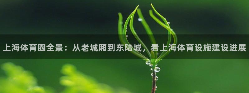 凯捷体育集团官网首页网址：上海体育圈全景：从老城厢到东陆城， 