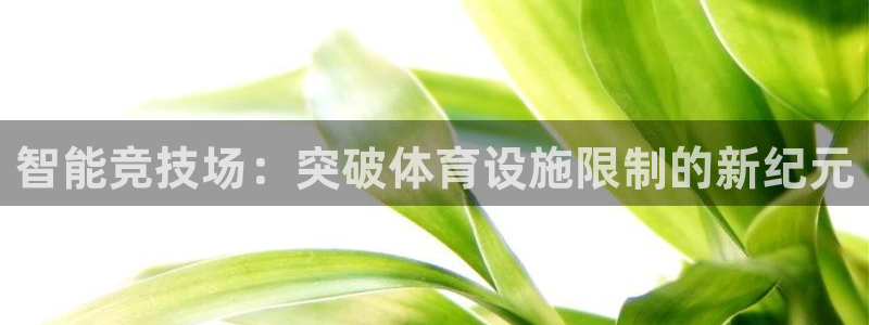 凯捷体育集团官网首页：智能竞技场：突破体育设施限制的新纪元