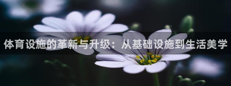 凯捷体育集团官网首页：体育设施的革新与升级：从基础设