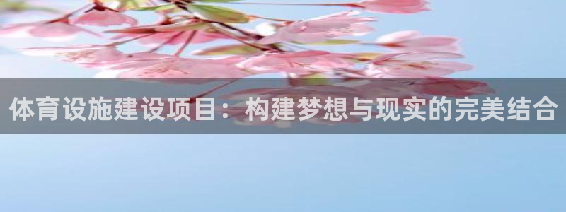 凯捷体育平台是正规平台吗知乎：体育设施建设项目：构建