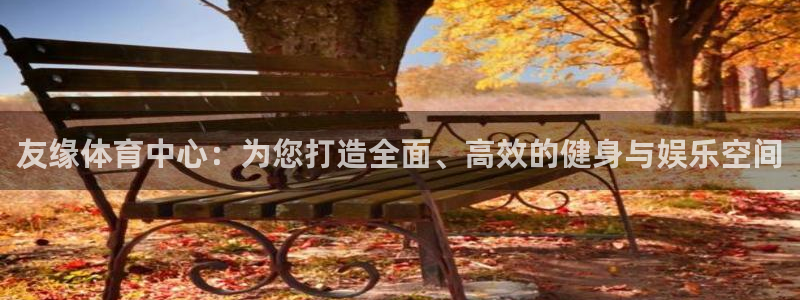 凯捷体育集团：友缘体育中心：为您打造全面、高效的健身