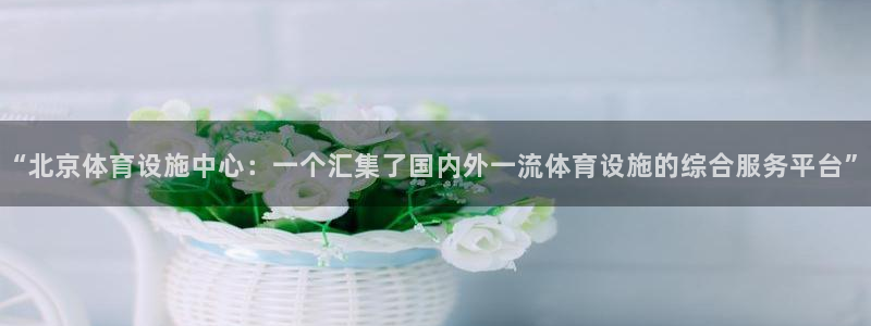 凯捷体育娱乐首页网站大全：“北京体育设施中心：一个汇