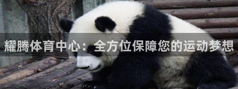 凯捷体育集团logo：耀腾体育中心：全方位保障您的运