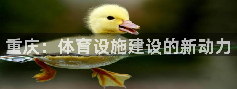 凯捷体育平台注册：重庆：体育设施建设的新动力