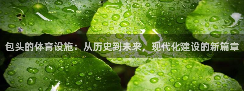 凯捷体育是干嘛的公司：包头的体育设施：从历史到未来，现代化建