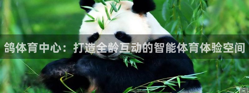 凯捷体育招商电话是多少