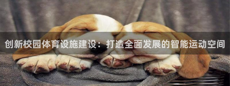 凯捷体育集团官网首页网址