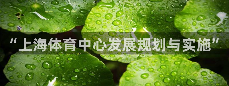 凯捷体育招商