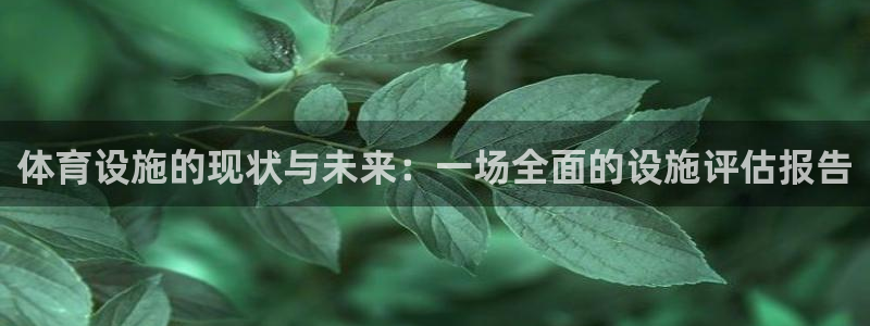 凯捷体育招商电话：体育设施的现状与未来：一场全面的设施评估报