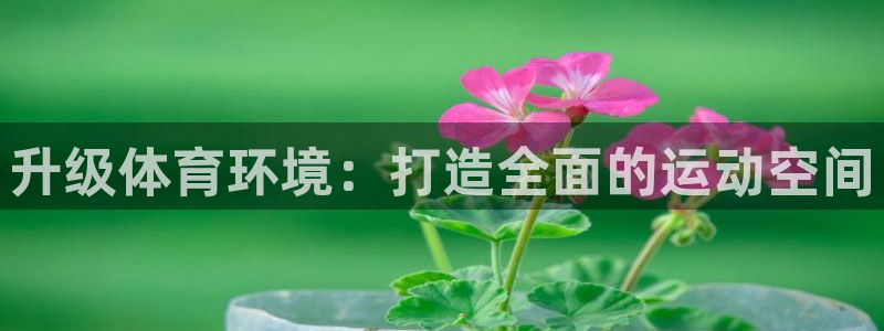 凯捷体育