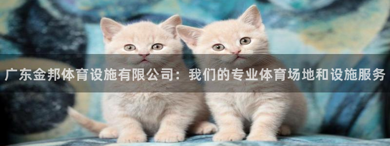 凯捷集团官网：广东金邦体育设施有限公司：我们的专业体育场地和