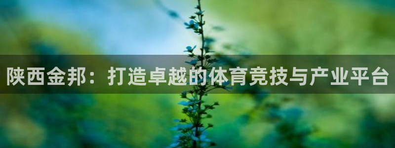 凯捷体育平台注册要钱吗：陕西金邦：打造卓越的体育竞技与产业平